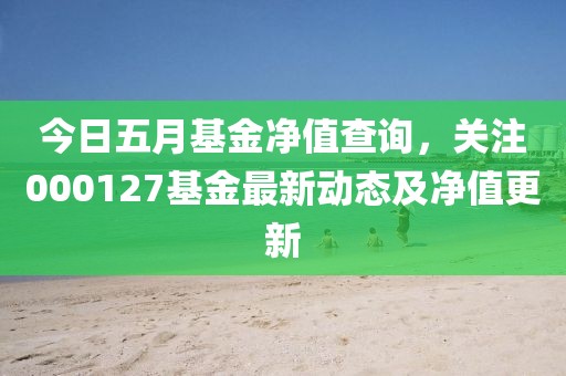 今日五月基金净值查询，关注000127基金最新动态及净值更新