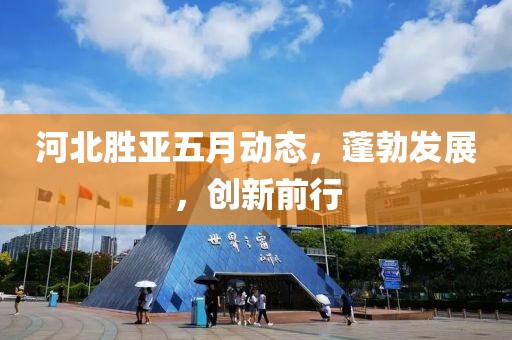 河北胜亚五月动态，蓬勃发展，创新前行