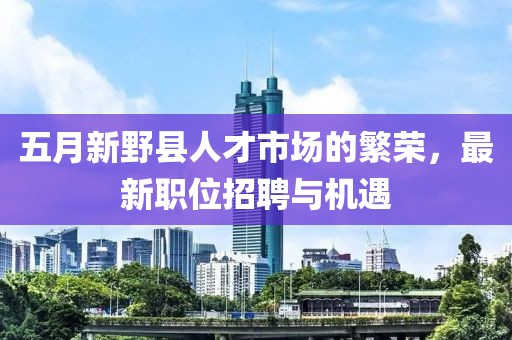 五月新野县人才市场的繁荣，最新职位招聘与机遇