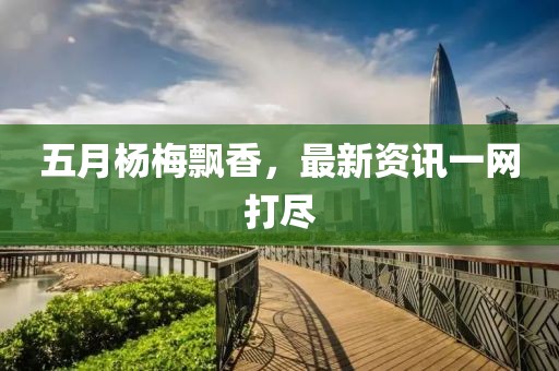 五月杨梅飘香，最新资讯一网打尽