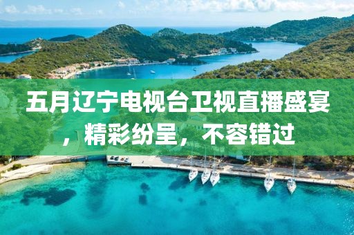 五月辽宁电视台卫视直播盛宴，精彩纷呈，不容错过