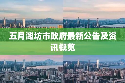 五月潍坊市政府最新公告及资讯概览