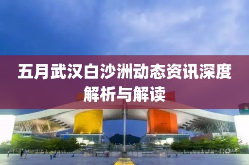 五月武汉白沙洲动态资讯深度解析与解读