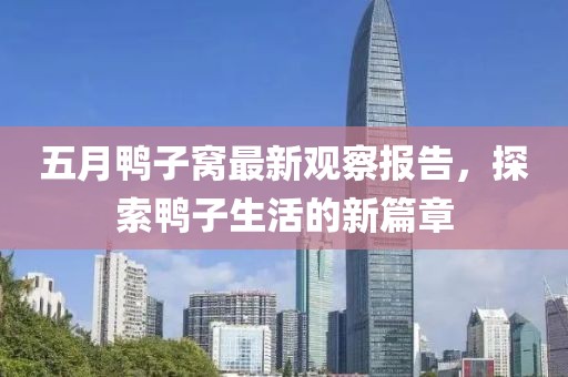 五月鸭子窝最新观察报告，探索鸭子生活的新篇章