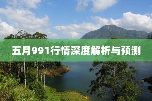 五月991行情深度解析与预测