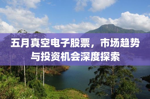 五月真空电子股票，市场趋势与投资机会深度探索