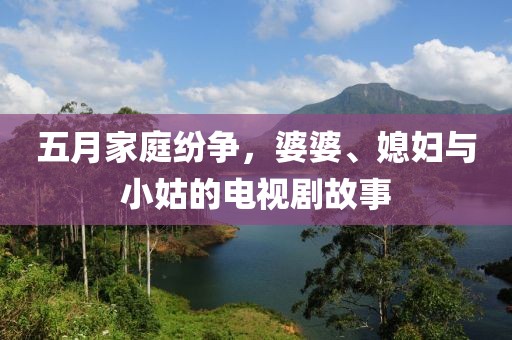 五月家庭纷争，婆婆、媳妇与小姑的电视剧故事