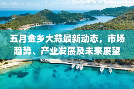五月金乡大蒜最新动态，市场趋势、产业发展及未来展望