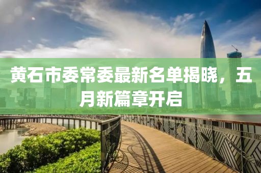 黄石市委常委最新名单揭晓，五月新篇章开启