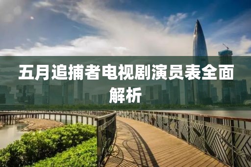 五月追捕者电视剧演员表全面解析