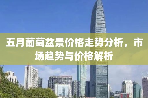 五月葡萄盆景价格走势分析，市场趋势与价格解析