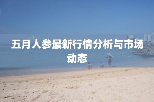 五月人参最新行情分析与市场动态