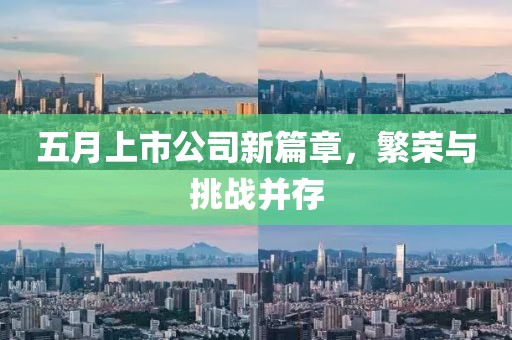 五月上市公司新篇章，繁荣与挑战并存
