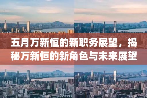 五月万新恒的新职务展望，揭秘万新恒的新角色与未来展望