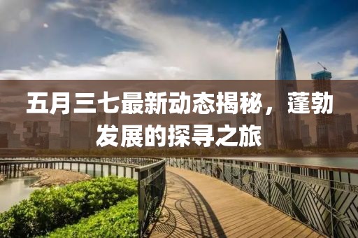 五月三七最新动态揭秘，蓬勃发展的探寻之旅