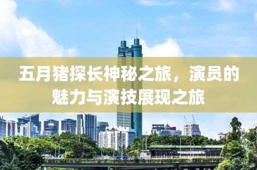 五月猪探长神秘之旅，演员的魅力与演技展现之旅