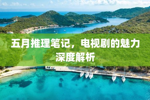 五月推理笔记，电视剧的魅力深度解析