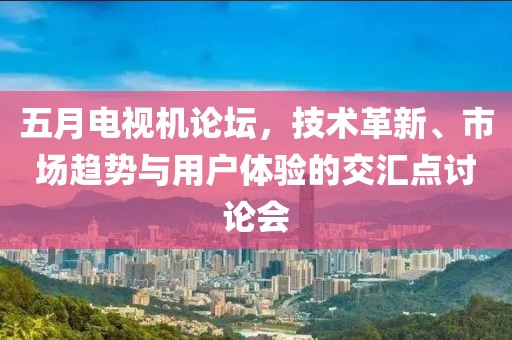 五月电视机论坛，技术革新、市场趋势与用户体验的交汇点讨论会