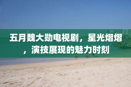 五月魏大勋电视剧，星光熠熠，演技展现的魅力时刻