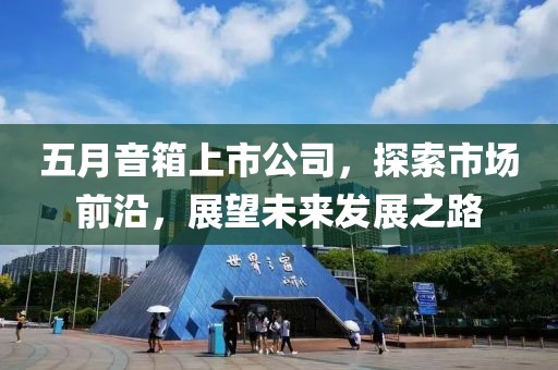 五月音箱上市公司，探索市场前沿，展望未来发展之路