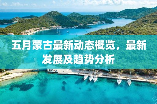 五月蒙古最新动态概览，最新发展及趋势分析