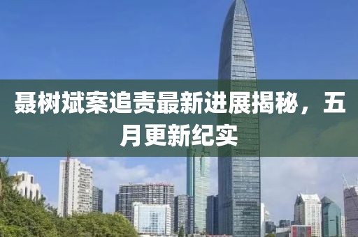 聂树斌案追责最新进展揭秘，五月更新纪实