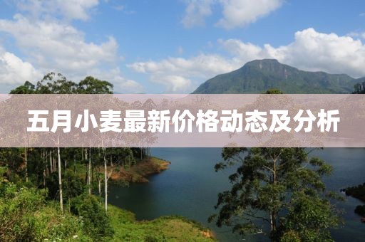 五月小麦最新价格动态及分析