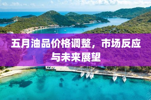 五月油品价格调整，市场反应与未来展望