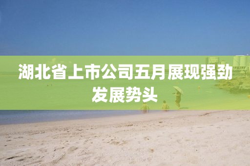 湖北省上市公司五月展现强劲发展势头