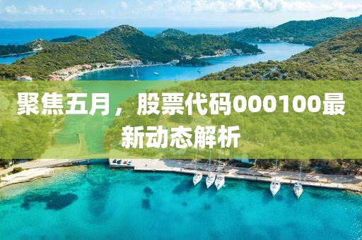 聚焦五月，股票代码000100最新动态解析