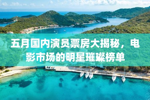 五月国内演员票房大揭秘，电影市场的明星璀璨榜单