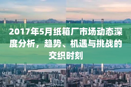 2017年5月纸箱厂市场动态深度分析，趋势、机遇与挑战的交织时刻