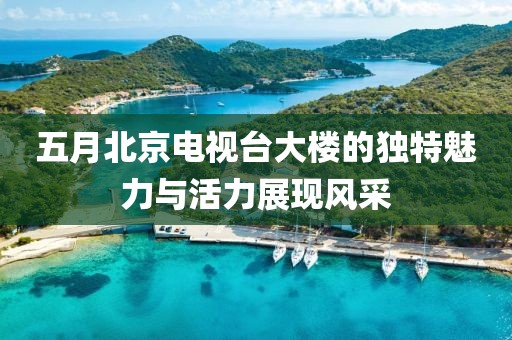五月北京电视台大楼的独特魅力与活力展现风采