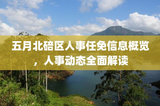 五月北碚区人事任免信息概览，人事动态全面解读