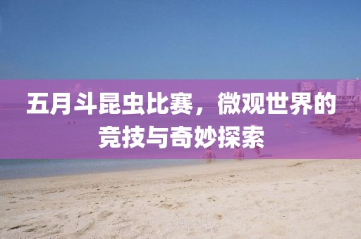 五月斗昆虫比赛，微观世界的竞技与奇妙探索