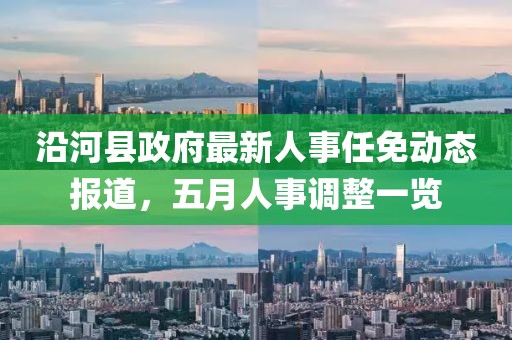 沿河县政府最新人事任免动态报道，五月人事调整一览
