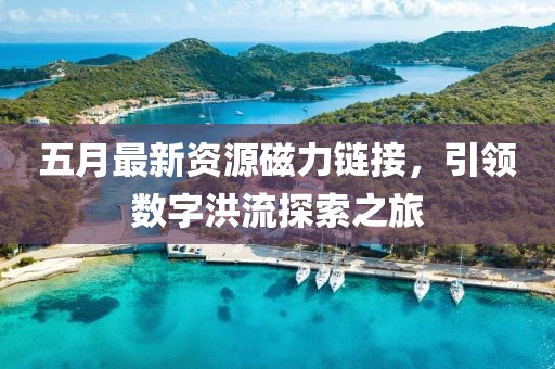 五月最新资源磁力链接，引领数字洪流探索之旅