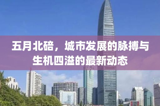 五月北碚，城市发展的脉搏与生机四溢的最新动态