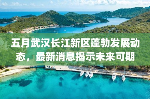 五月武汉长江新区蓬勃发展动态，最新消息揭示未来可期