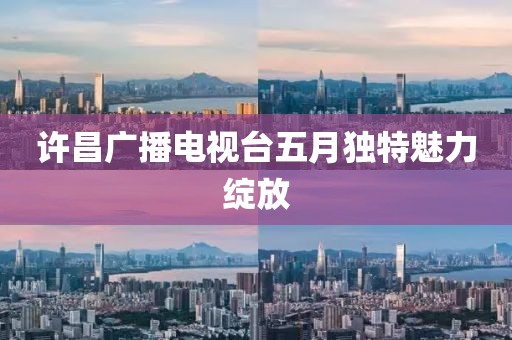 许昌广播电视台五月独特魅力绽放