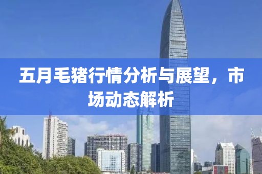 五月毛猪行情分析与展望，市场动态解析