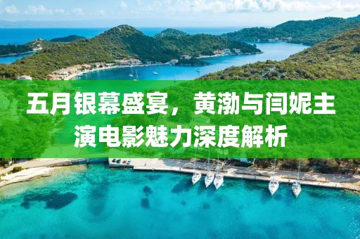 五月银幕盛宴，黄渤与闫妮主演电影魅力深度解析