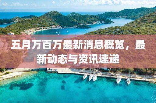 五月万百万最新消息概览，最新动态与资讯速递