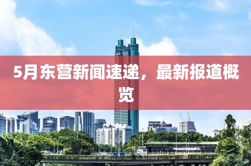 5月东营新闻速递，最新报道概览