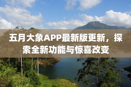 五月大象APP最新版更新，探索全新功能与惊喜改变