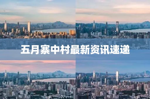 五月寨中村最新资讯速递