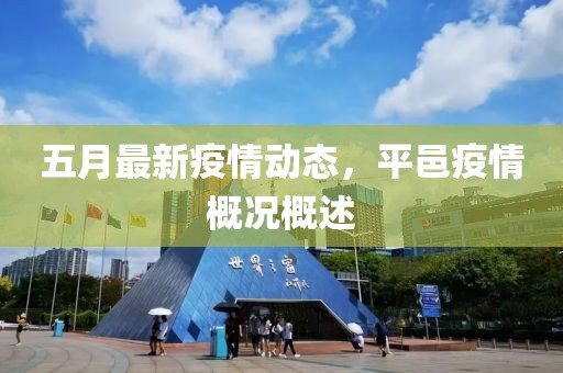五月最新疫情动态，平邑疫情概况概述