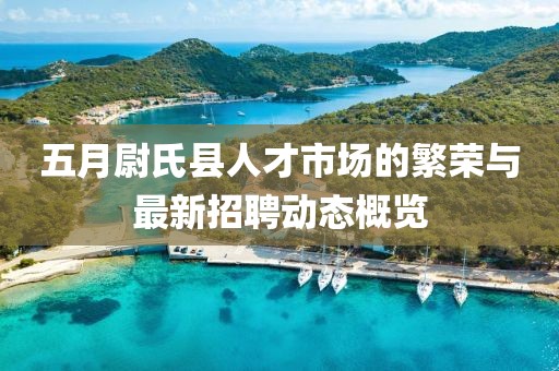 五月尉氏县人才市场的繁荣与最新招聘动态概览