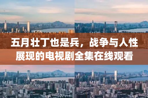 五月壮丁也是兵，战争与人性展现的电视剧全集在线观看
