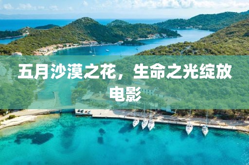 五月沙漠之花，生命之光绽放电影
